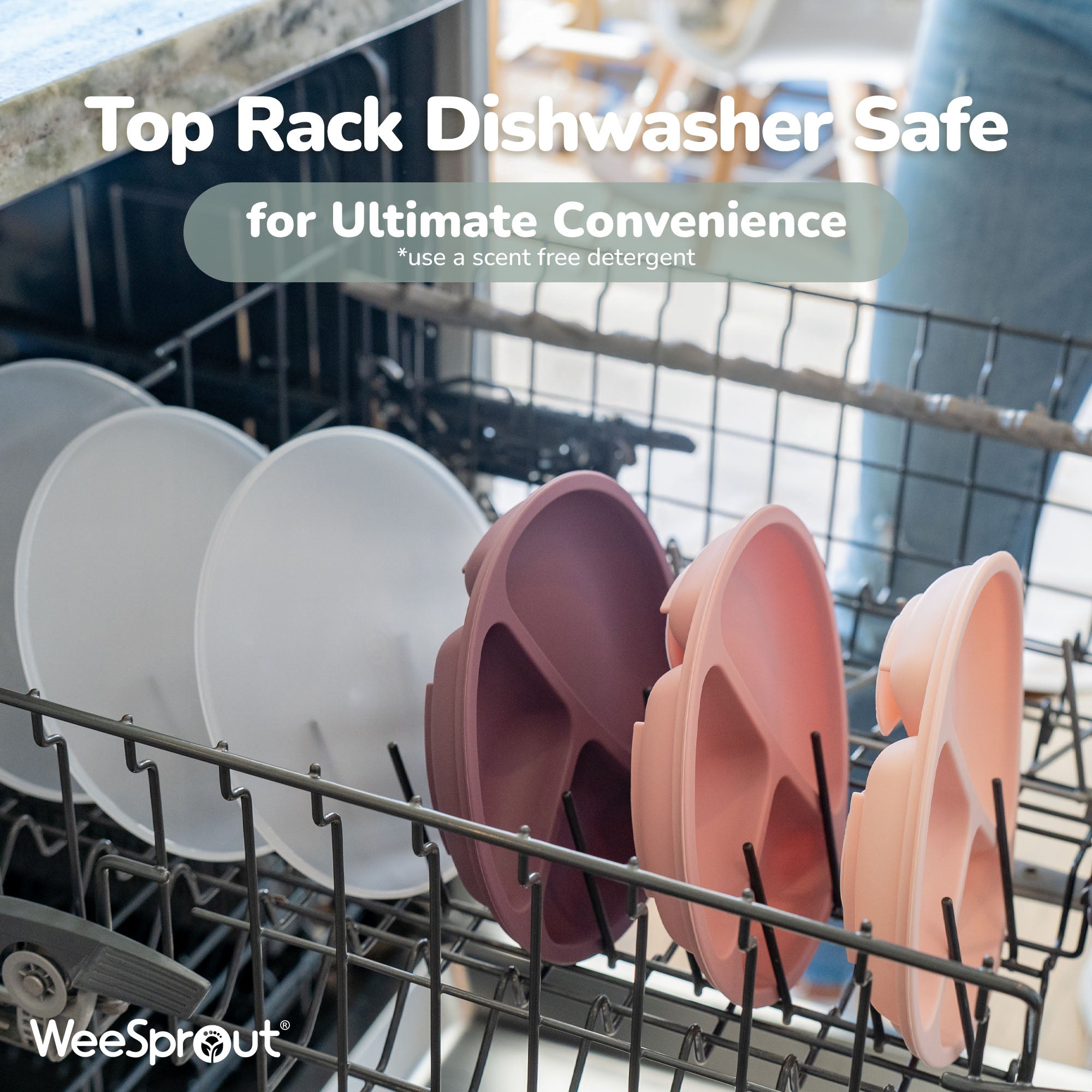 Silicone Divided Plates